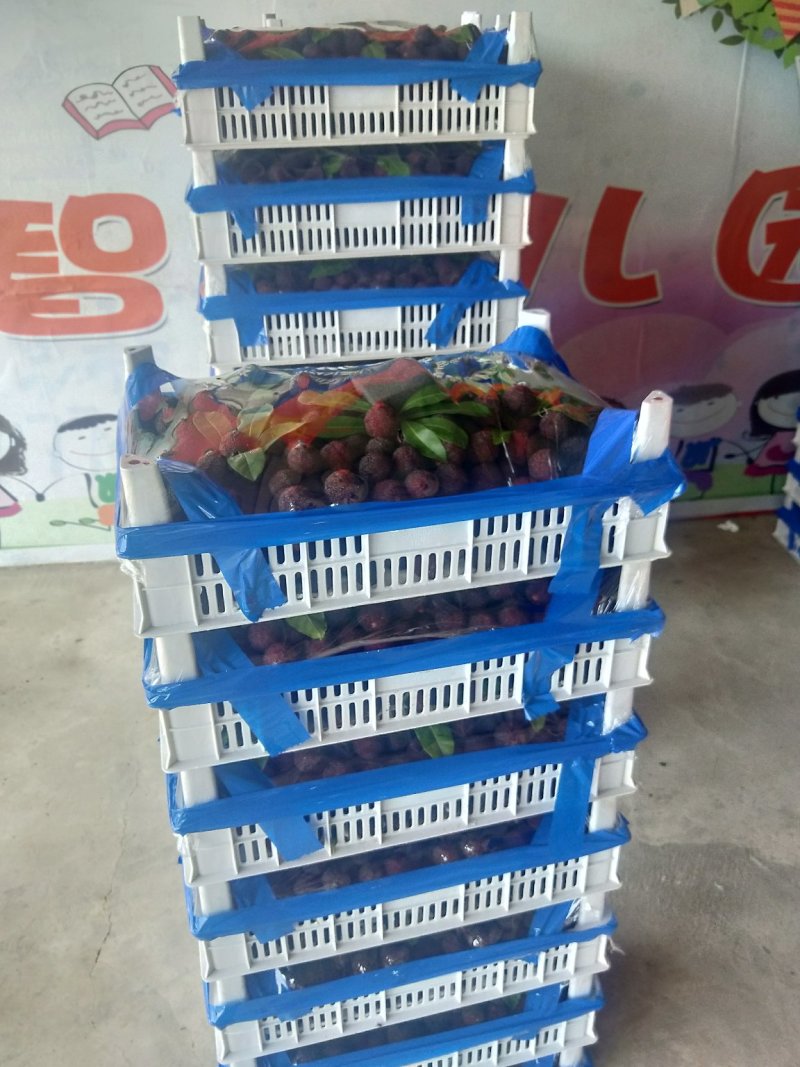 福建漳州精品杨梅