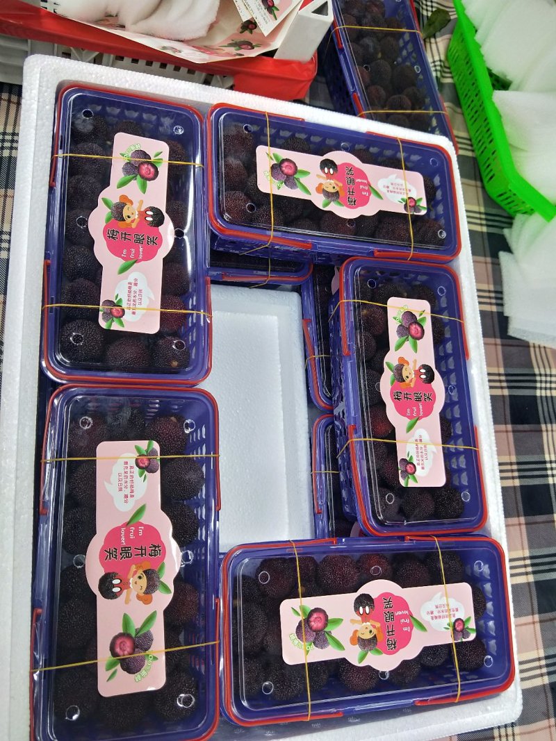福建漳州精品杨梅
