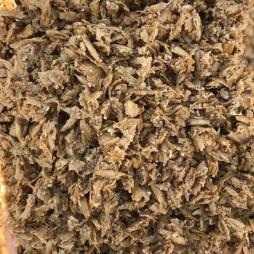 啤酒糟发酵啤酒糟牛羊养殖质量保证