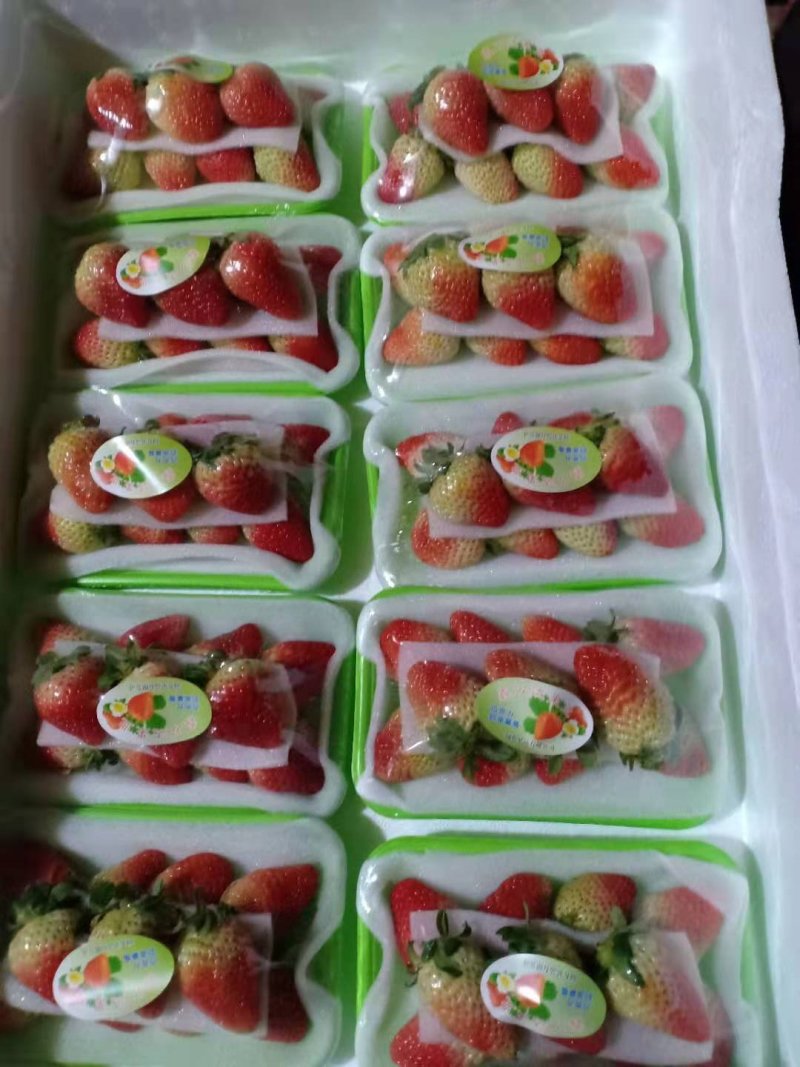 蒙特瑞四季草莓蛋糕烘培草莓，糖葫芦草莓，冷饮草莓