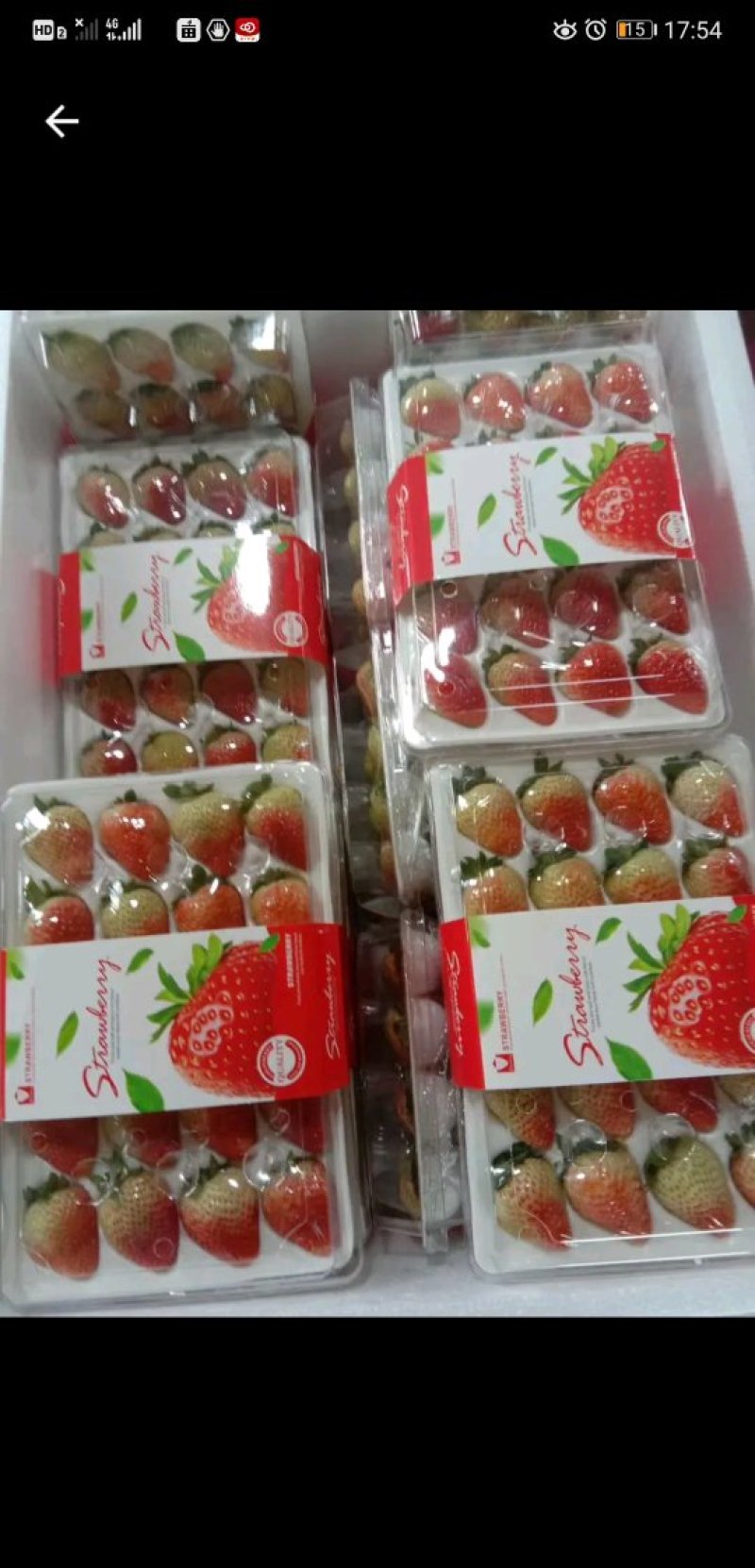 蒙特瑞四季草莓，现货供应，从采摘到包装再到客户手中24小