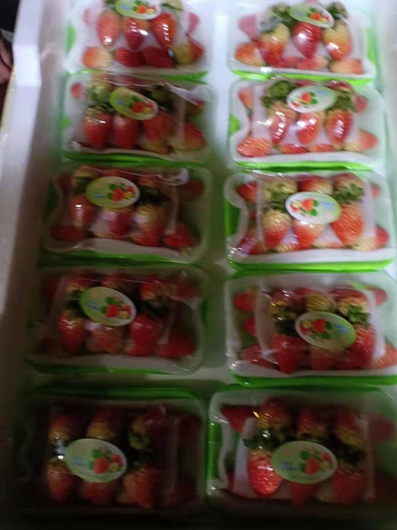 蒙特瑞四季草莓，现货供应，从采摘到包装再到客户手中24小