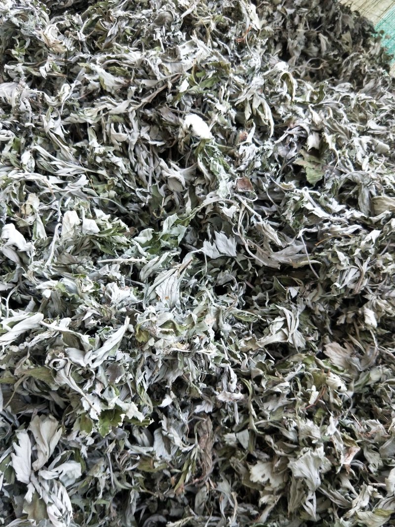 精选艾叶