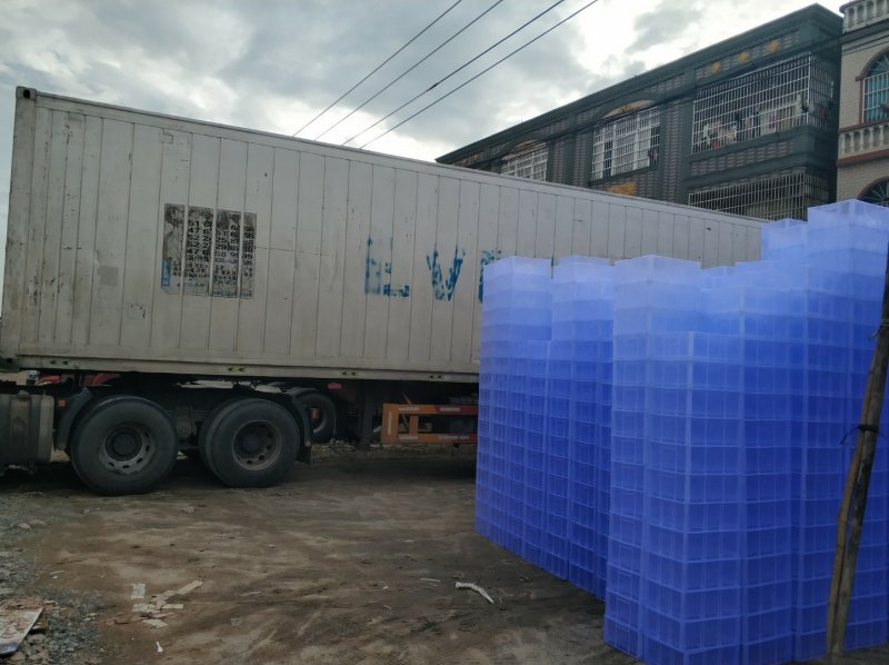 整车2万斤荔枝，粒果，果粒，妃子笑，廉江市良垌镇专业代办