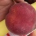 毛桃红宝石