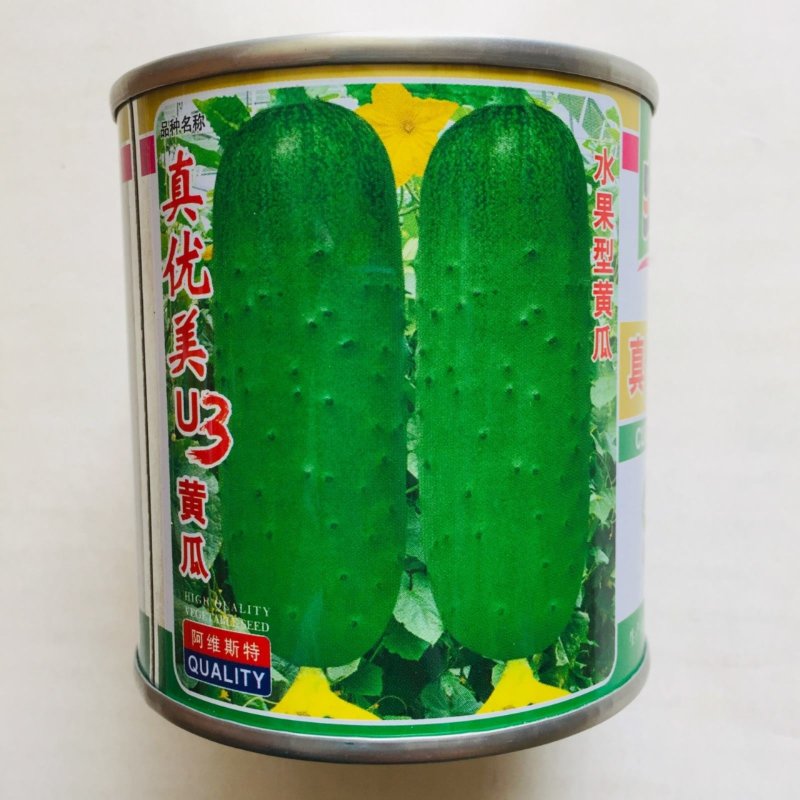 水果黄瓜种子旱黄瓜种子种子一代杂交品种基地专用品种