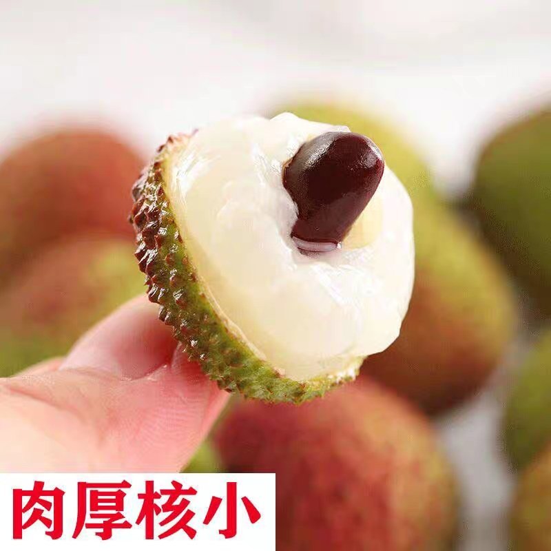 广东茂名妃子笑白糖罂白蜡黑叶桂味荔枝，提供场地包装材料