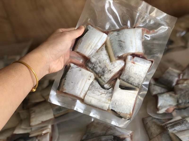大厚带，怎么吃都得劲青张大带鱼，早班小船刚刚钓回一筐