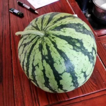 西瓜8424