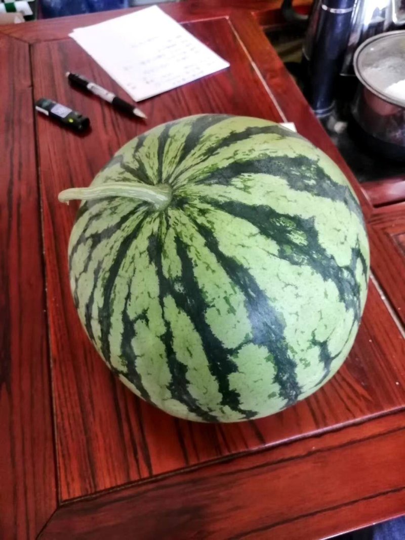 西瓜8424