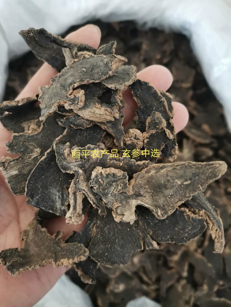 中药材精选玄参元参泡水入药一公斤起发货