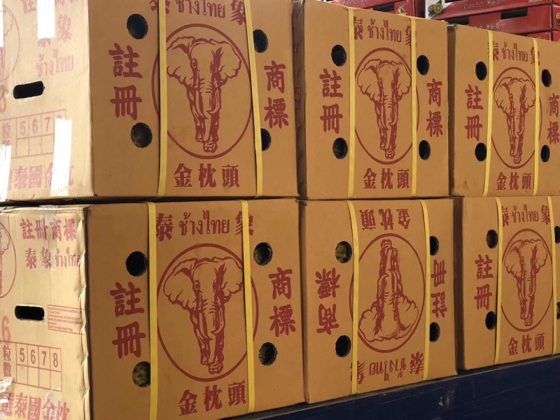 泰象牌金枕