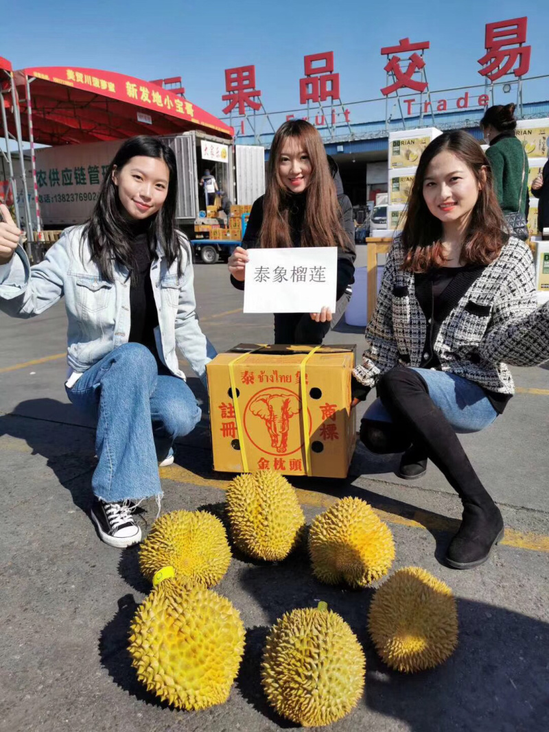 泰象牌金枕