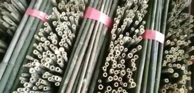 湖南批发竹竿自产自销豆角，黄瓜，西红柿架等属于通货规格