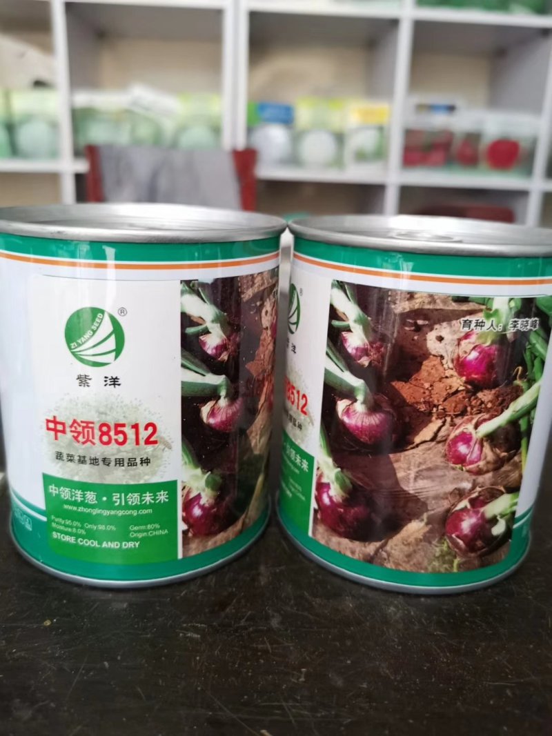 中领8512洋葱种子早熟高产高品质甜辣脆可口洋葱种子
