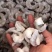 新鲜大虾仁速冻青虾仁活虾冷冻白虾仁海虾仁国产开背大虾仁