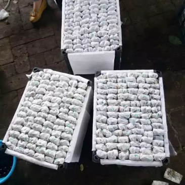 天水套袋大樱桃