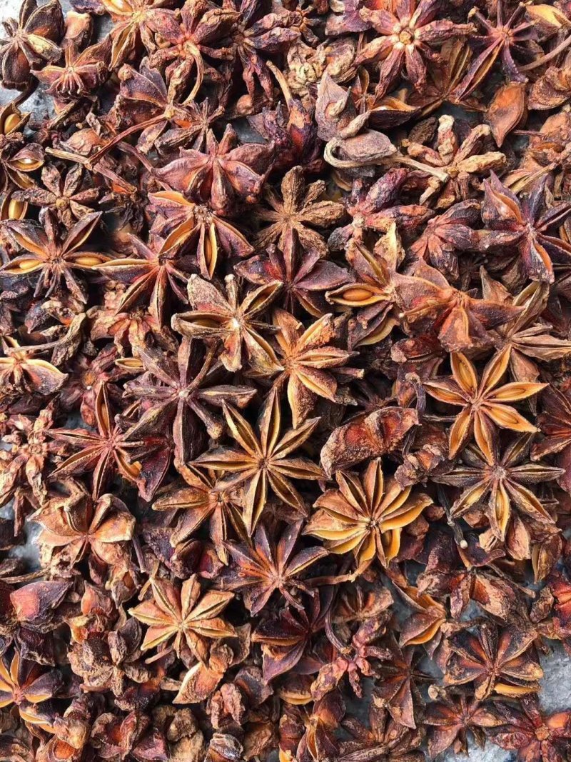 八角大红茴香春花八角广西大红调味香料大料调味料