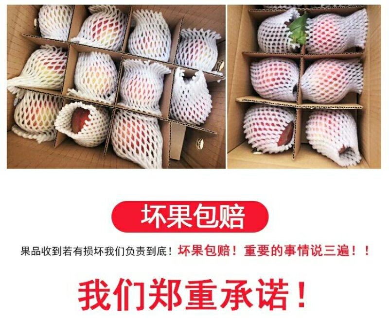陕西五月红早熟脆桃红而不软