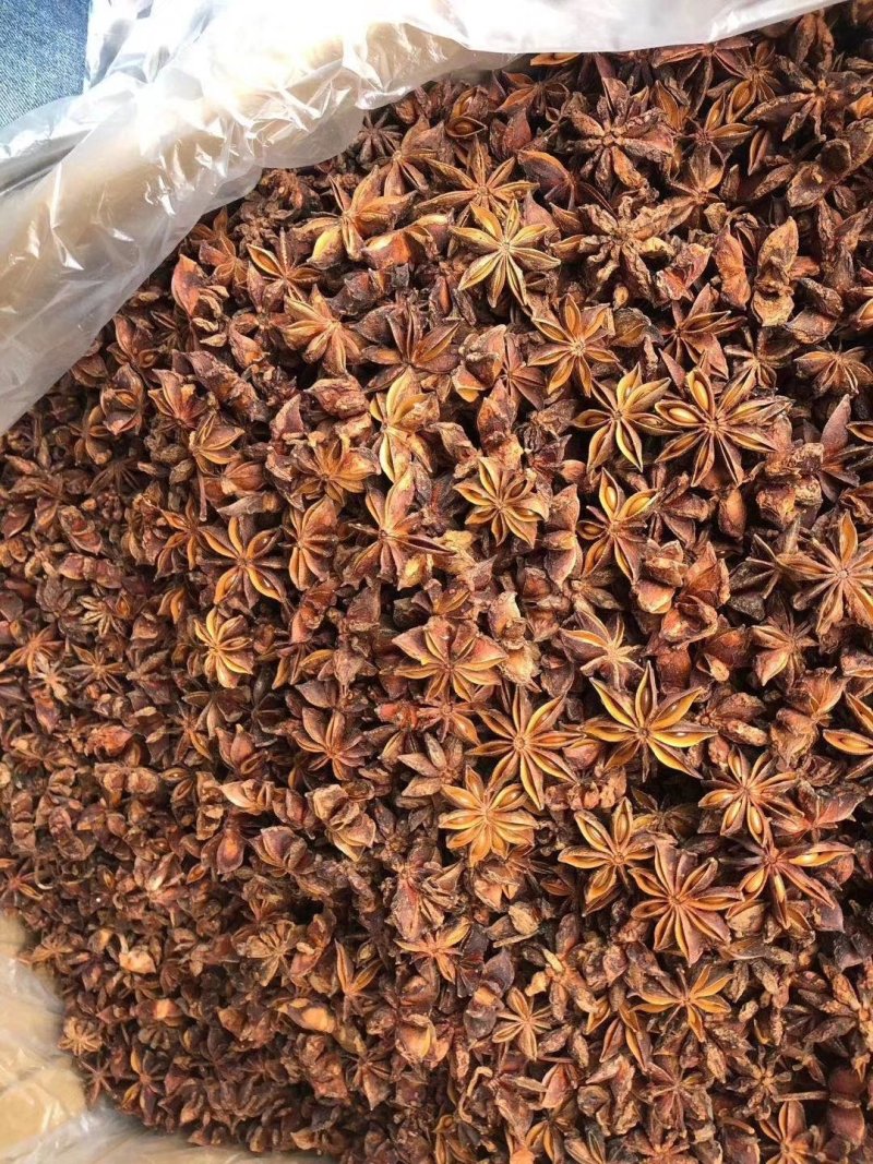 八角大红茴香春花八角广西大红调味香料大料调味料
