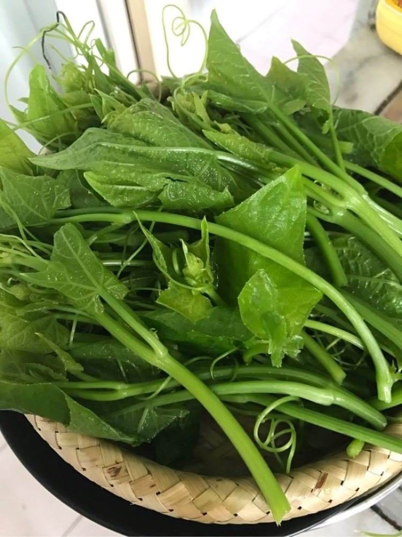 龙须菜，佛手瓜尖，丝瓜尖，产地直销
