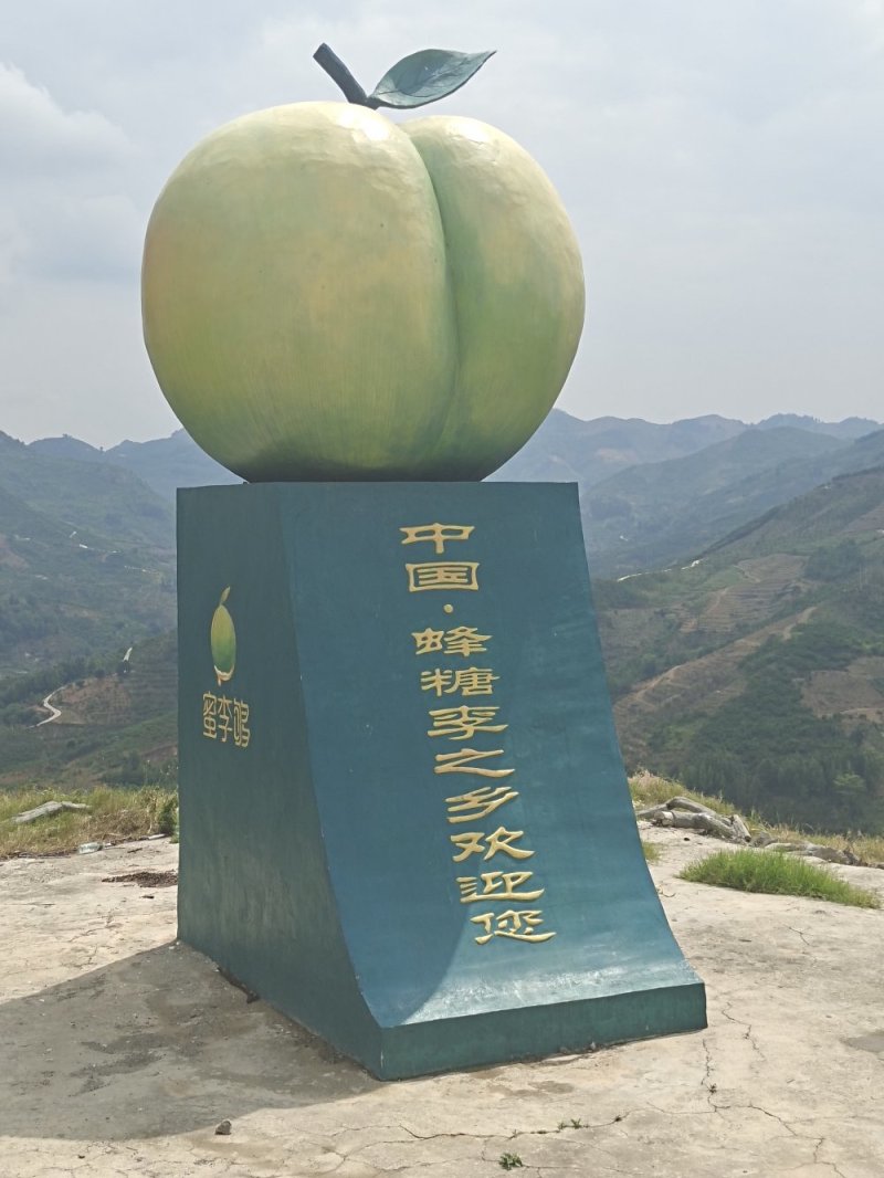 贵州六马四月李冰脆李青脆李长期合作代办蜂糖李