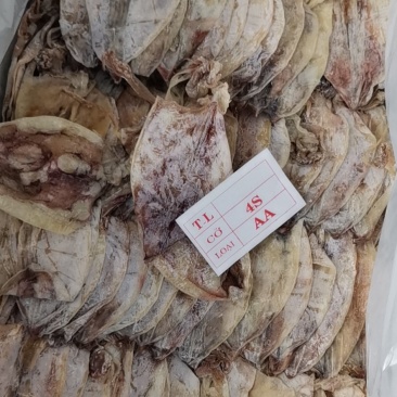 烧烤专用手撕干鱿鱼AA4S