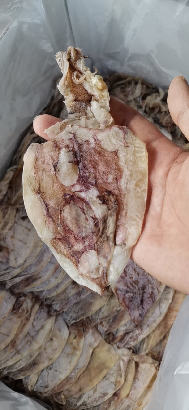 烧烤专用手撕干鱿鱼AA4S