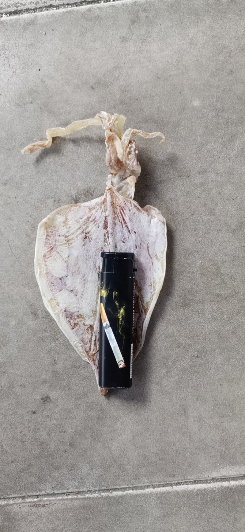 烧烤专用手撕干鱿鱼AA4S