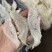 燕窝细条自然色泽免挑毛干度足
