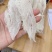 燕窝细条自然色泽免挑毛干度足