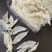 燕窝细条自然色泽免挑毛干度足