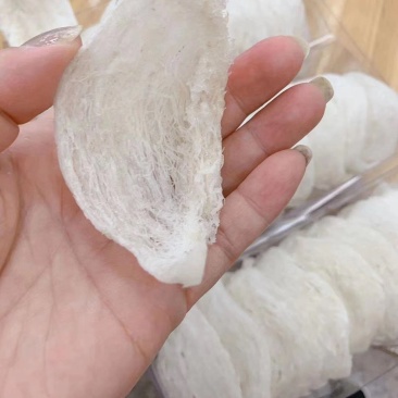 燕窝燕盏自然色泽免挑毛干度足送礼佳品