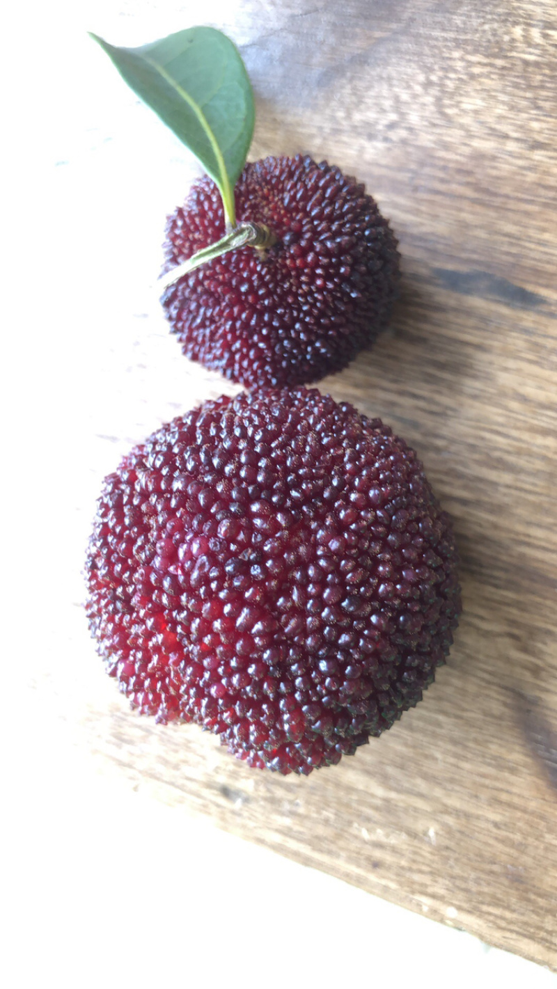 果农厂地直销