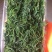 今年新货黄须菜，海英菜，碱蓬草，长期供货