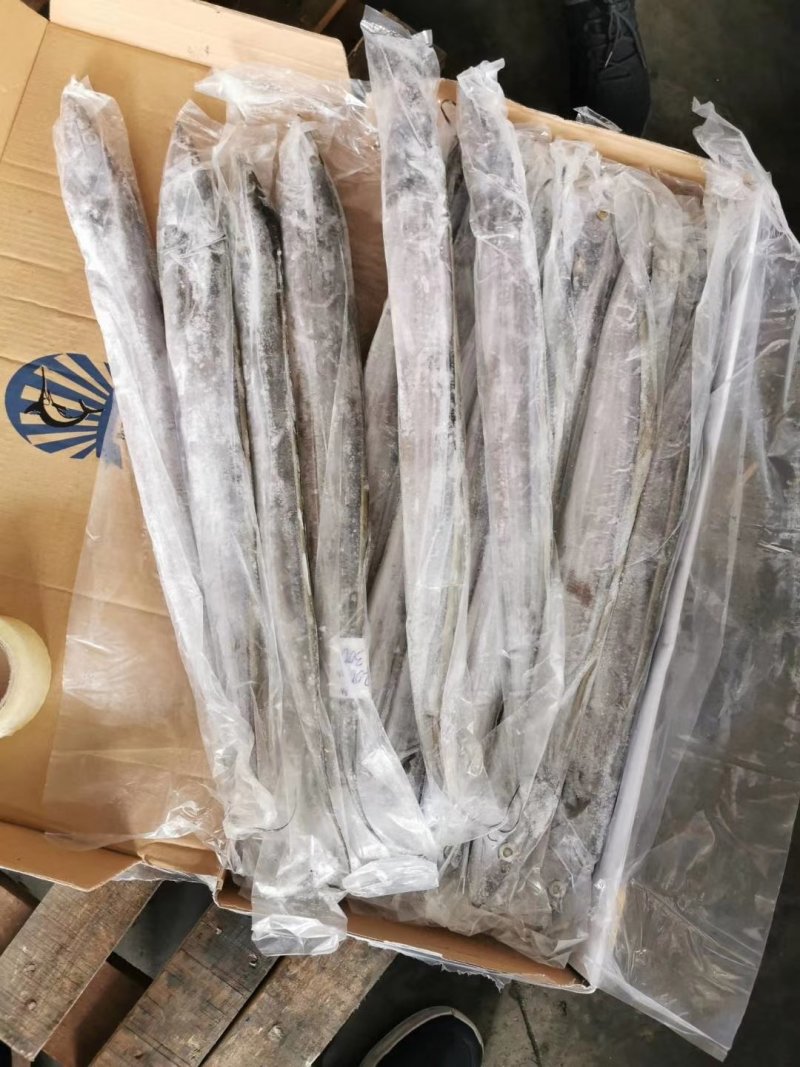 印尼双a带鱼