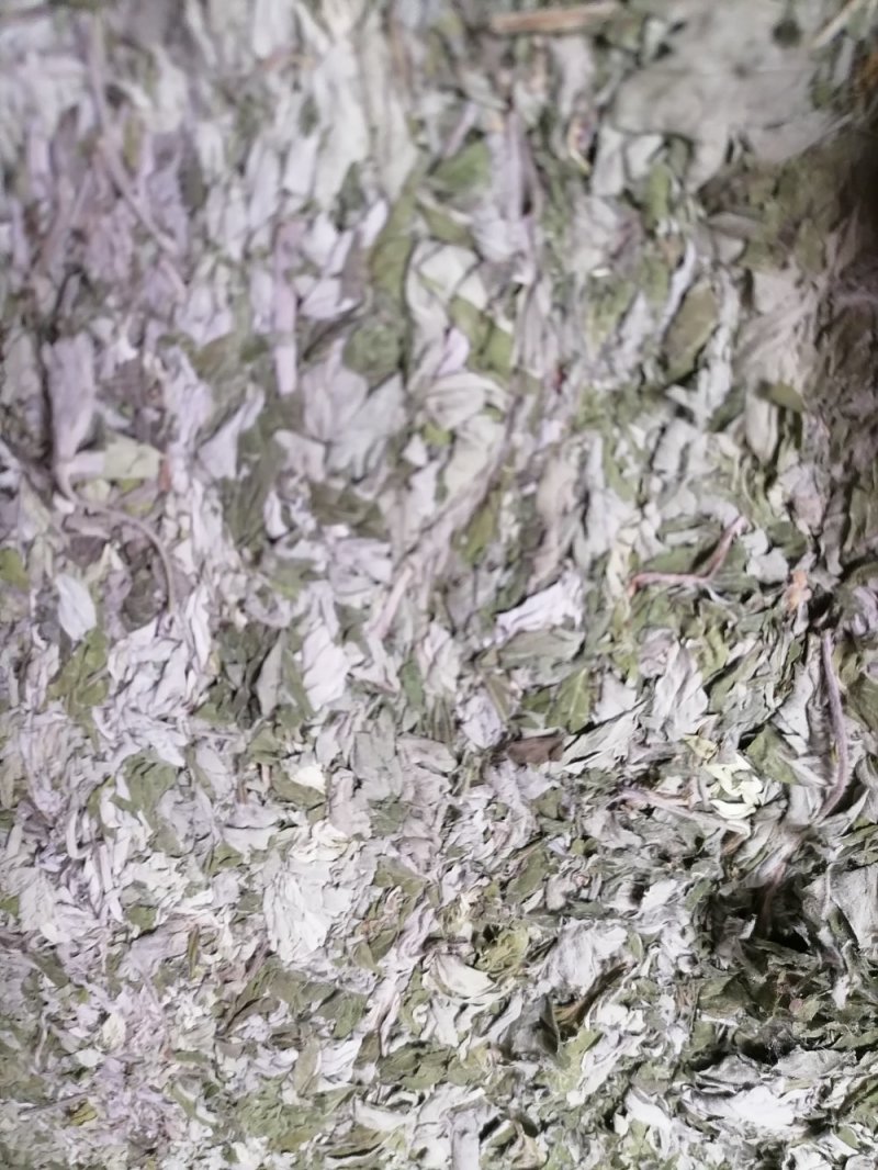 艾叶宝天曼野生优质大白艾叶月子洗护熏屋产地地直发