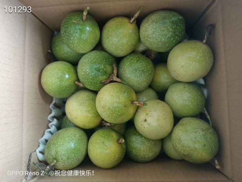 黄金百香果自家有果园代办周边500亩