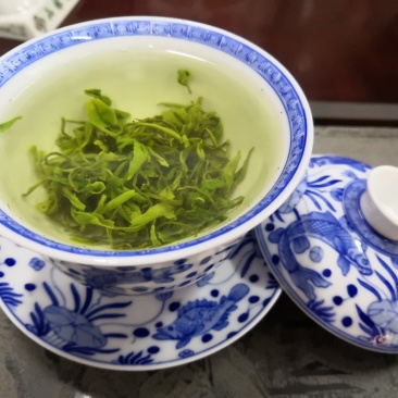 崂山绿茶