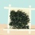 250g绿茶,2020年新茶,日照绿茶湖北绿茶清香绿茶
