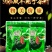 250g绿茶,2020年新茶,日照绿茶湖北绿茶清香绿茶