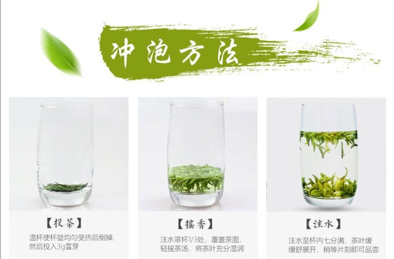 250g绿茶,2020年新茶,日照绿茶湖北绿茶清香绿茶