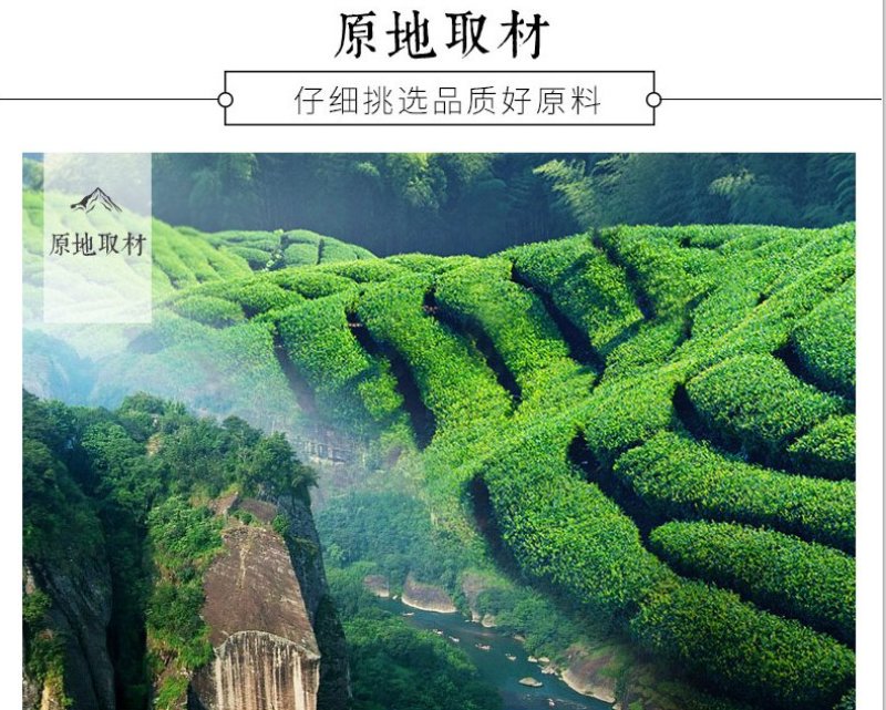 250g绿茶,2020年新茶,日照绿茶湖北绿茶清香绿茶