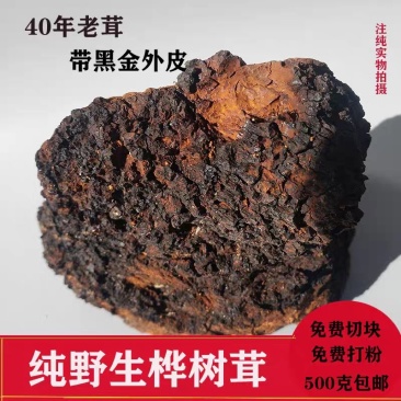 桦褐孔菌白桦茸桦树茸长白山野生桦褐孔菌桦树茸