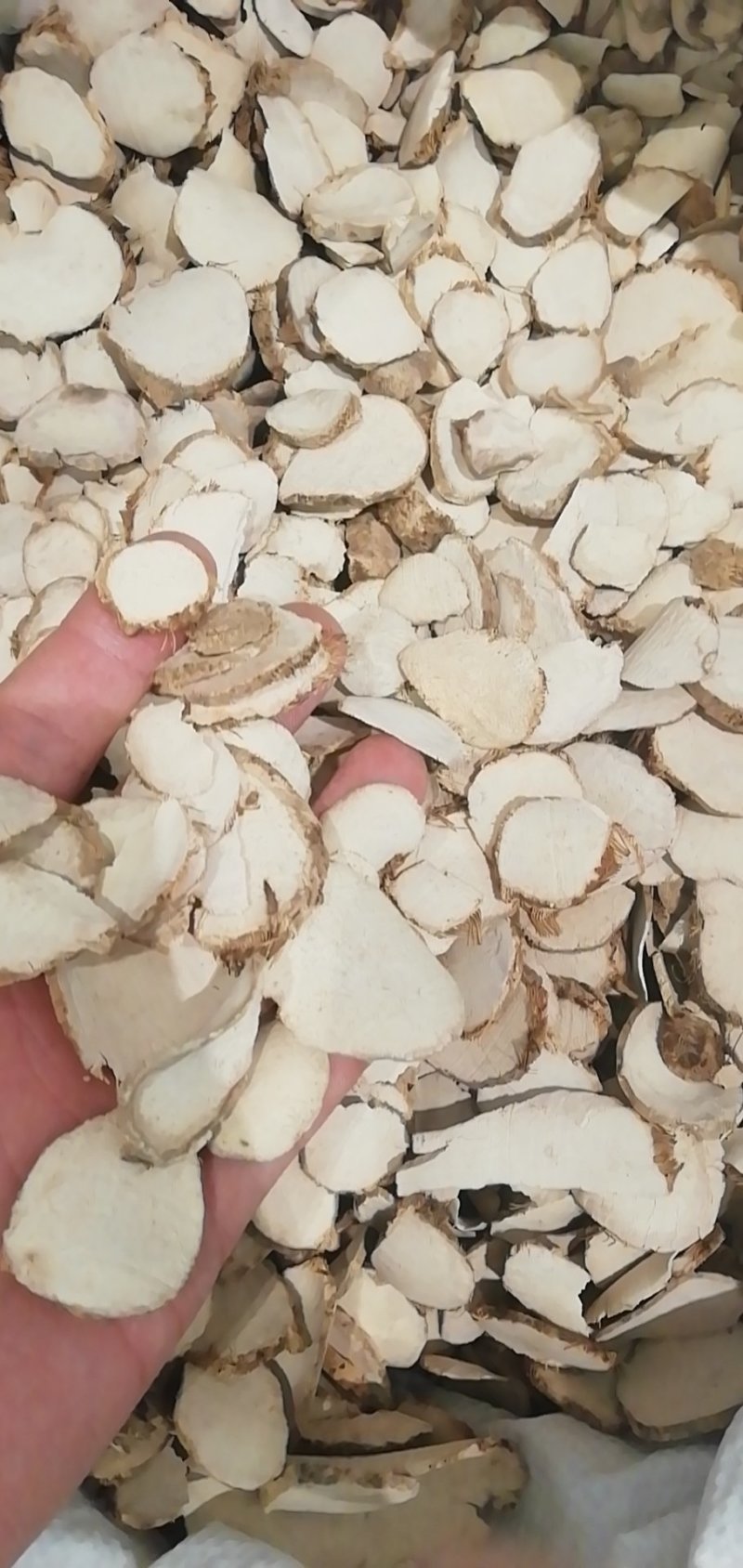 三棱一公斤起批不包邮量大电仪欢迎咨询各种中药材