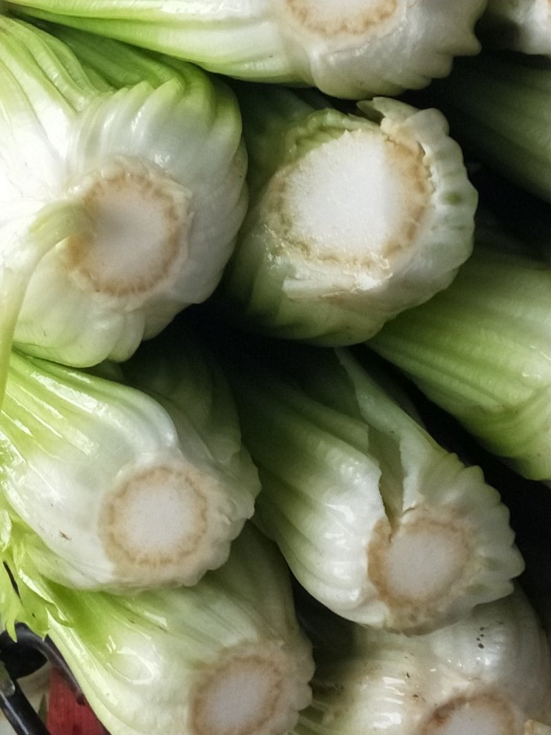 叶菜类