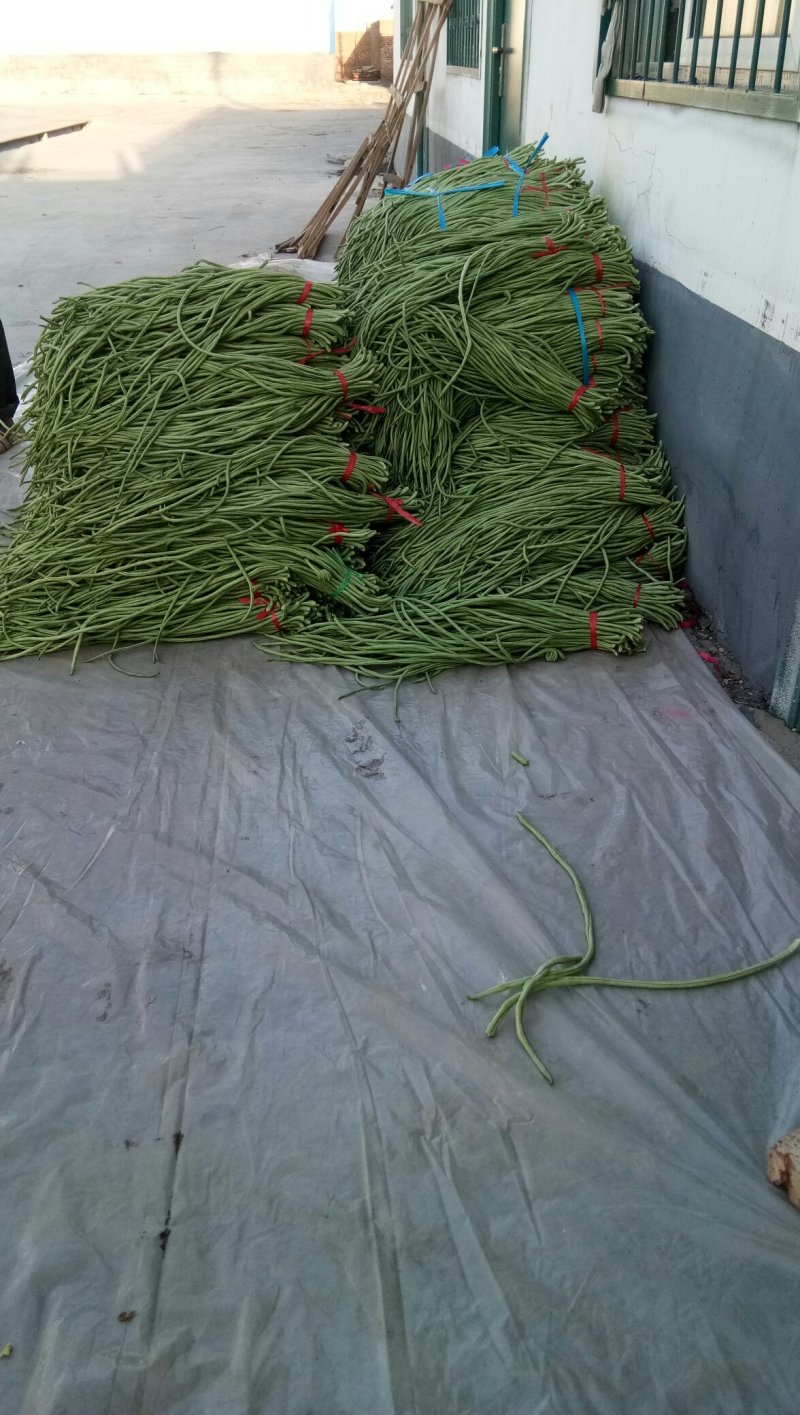 精品芸豆产地直销代收代发