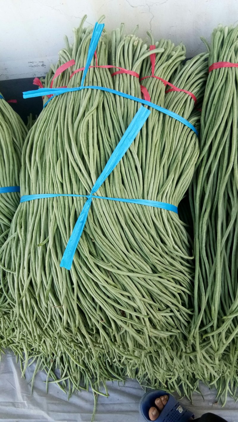 精品芸豆产地直销代收代发