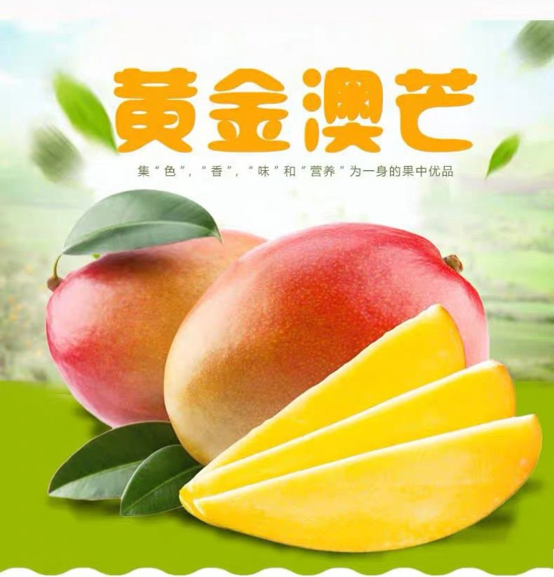 越南进口澳芒苹果芒大芒果金煌芒新鲜水果澳洲澳芒海南芒果