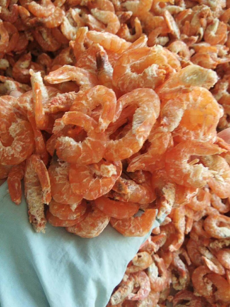 对虾海米大虾仁自己加工微盐产地直发